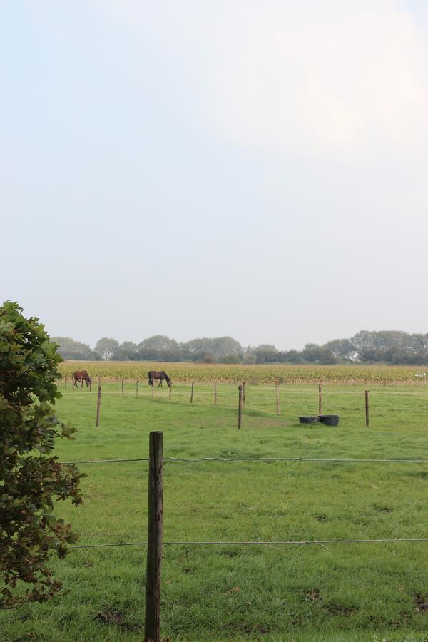 Gastenverblijven Boerderij Het Driespan 미델뷔르흐 외부 사진