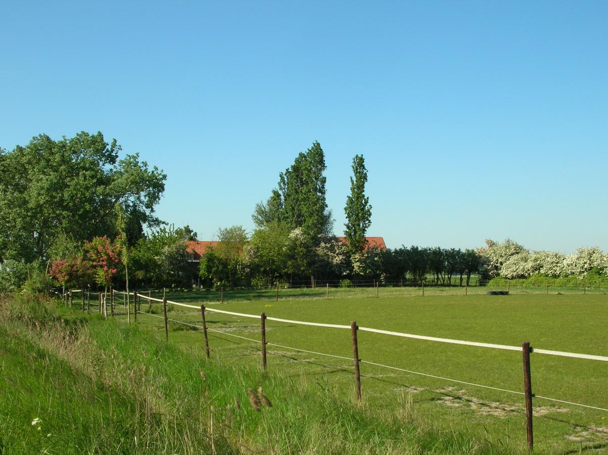 Gastenverblijven Boerderij Het Driespan 미델뷔르흐 외부 사진